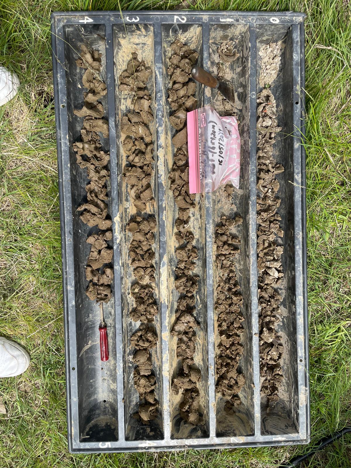 WhatsApp Image 2024-07-23 at 13.33.24